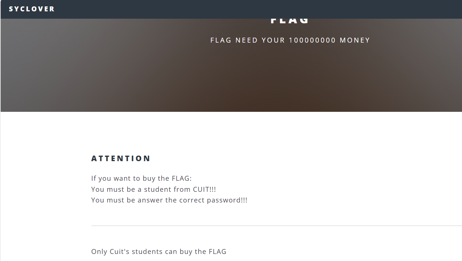 payflag